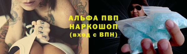 PSILOCYBIN Осташков