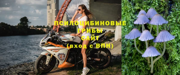 альфа пвп Остров