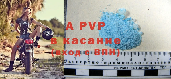 PSILOCYBIN Осташков