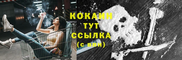 PSILOCYBIN Осташков