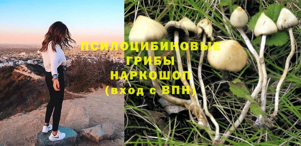 PSILOCYBIN Осташков