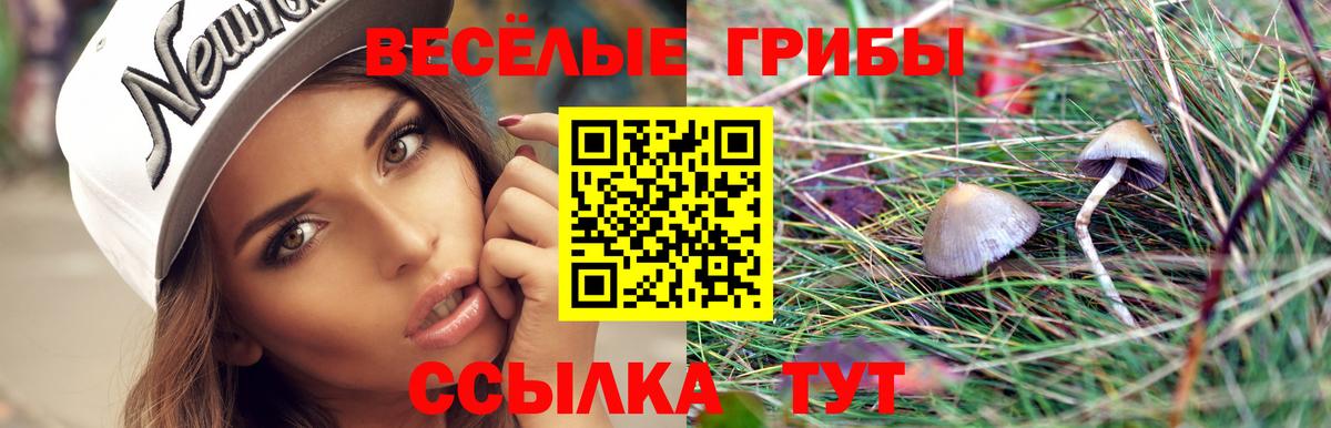 купить наркоту  Галлюциногенные грибы прущие грибы  Вход с VPN  Псилоцибиновые грибы Cubensis  Калуга 