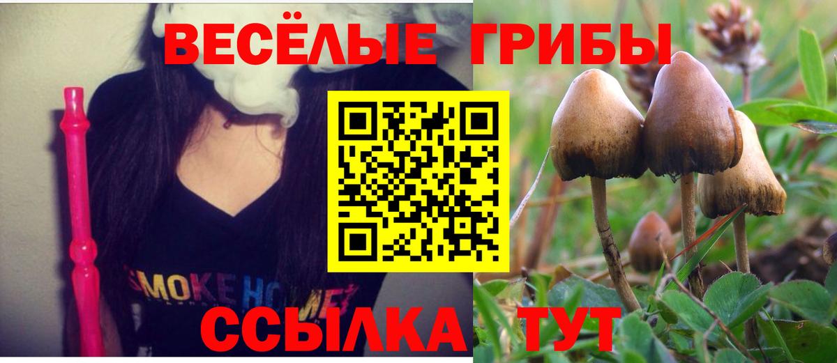 Псилоцибиновые грибы MAGIC MUSHROOMS Калуга
